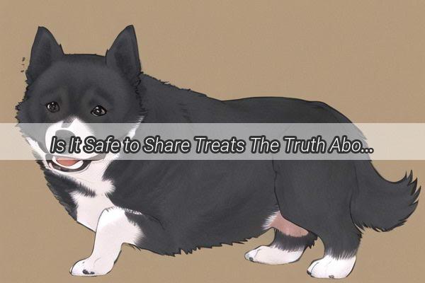 Is It Safe to Share Treats The Truth About Dogs and Curdled Milk